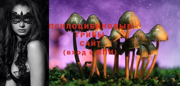 трава Заволжье
