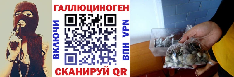 Галлюциногенные грибы мухоморы Купить Приморско-Ахтарск